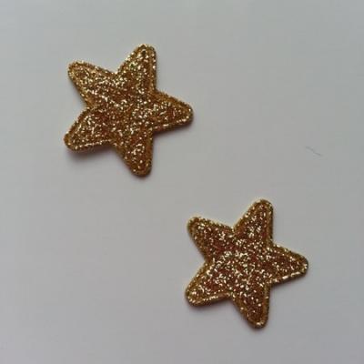 Lot de 2 étoiles paillettes dorées en tissu 20mm