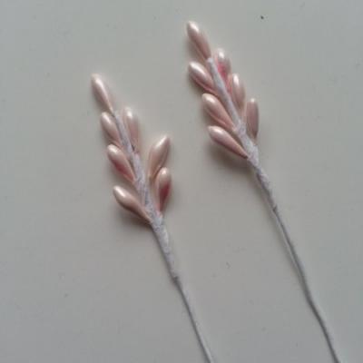lot de 2 tiges etamine rose