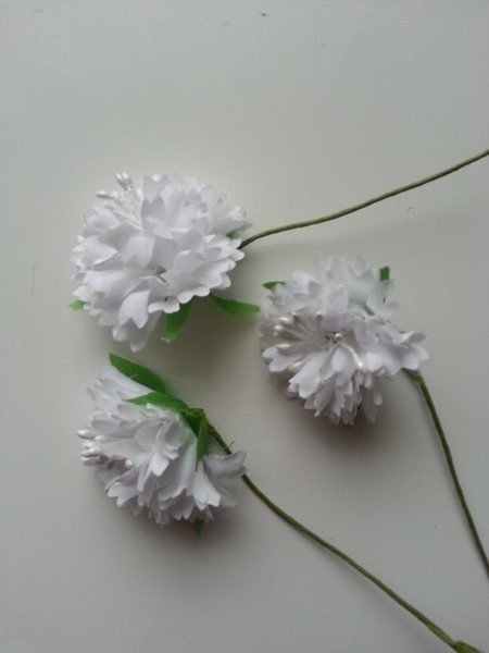 20180327 101030