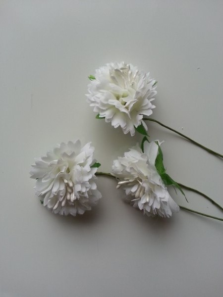 20180327 101048