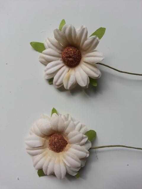 20190718 111613