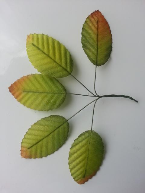 20191105 123412