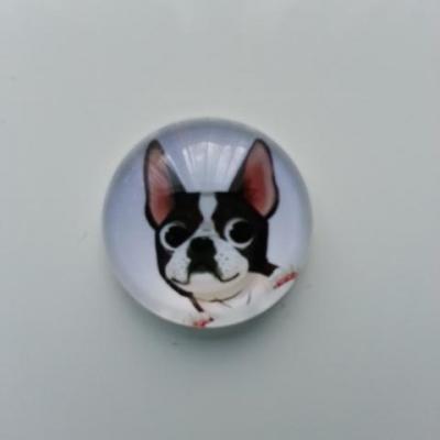 cabochon en verre chien 20mm (2)