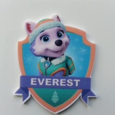 Cabochon plat en résine everest paw patrol 40*45mm