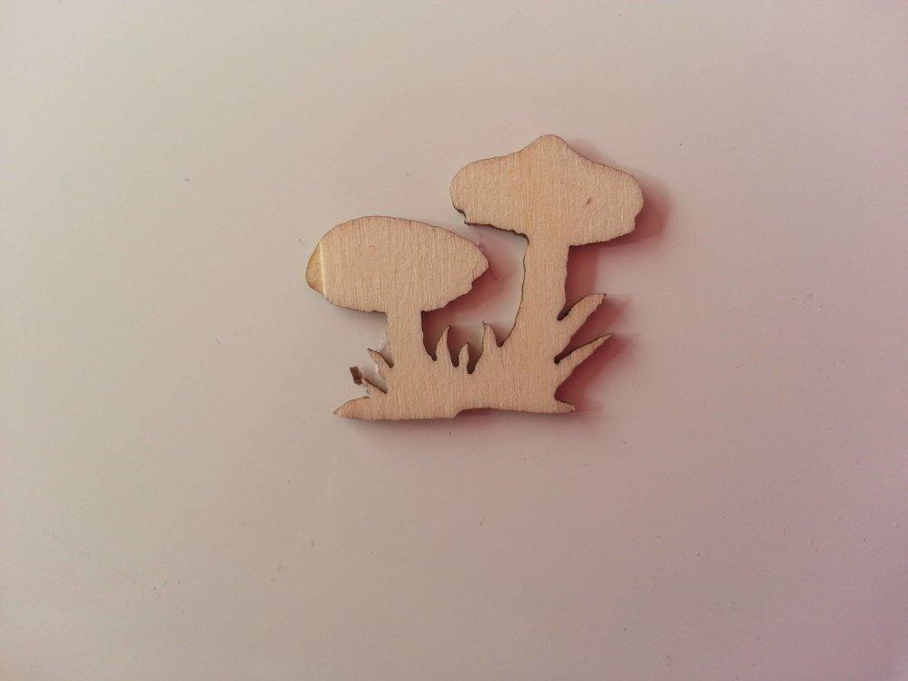 3502625 champignons en bois 25 30mm 1